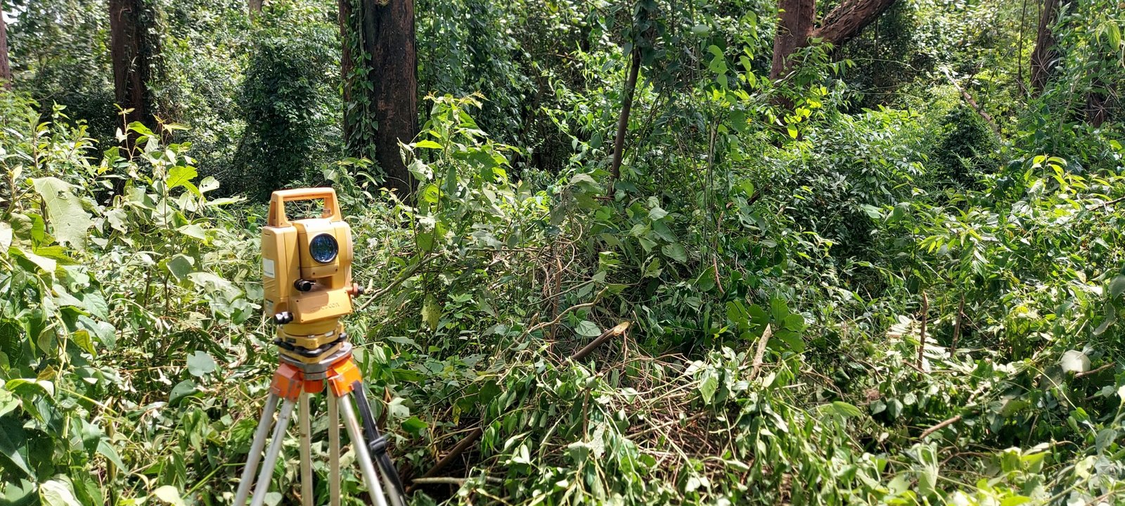 Levantamento Ativo Florestal Parelheiros